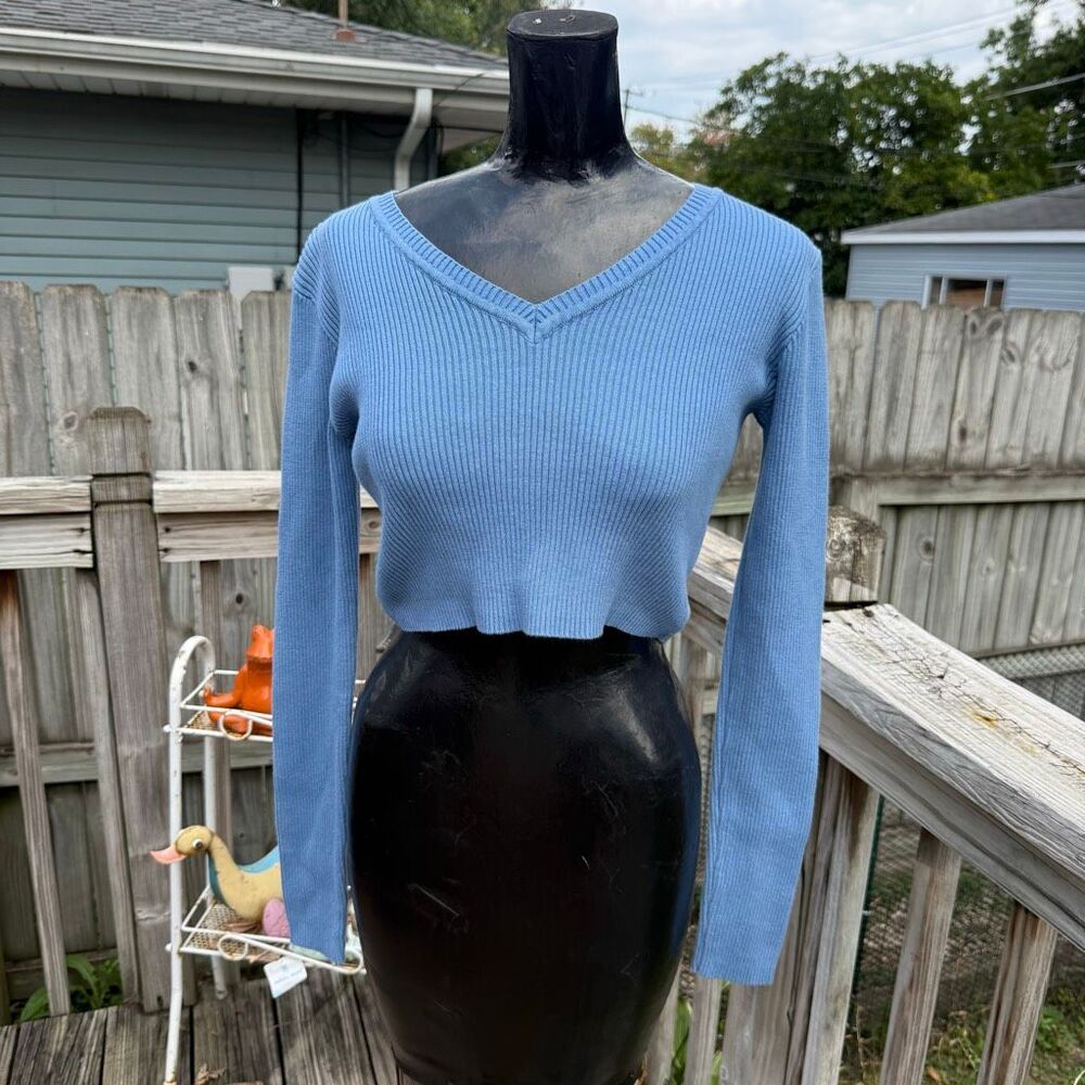 Brandy Melville Blue Ribbed Cropped V Neck Long Sleeve Sweater